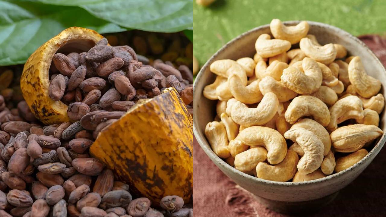 India Budget 2026 Cocoa Cashew Self Reliance Global Brand 2030 Farmers Income Agriculture Roadmap