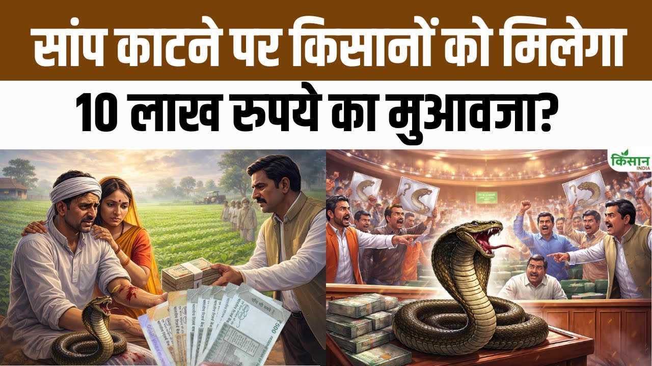 Farmer Dies After Being Bitten Snake In His Field Issue Raised In House Compensation Rules Questioned