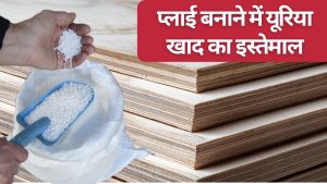 प्लाई बोर्ड बनाने में इस्तेमाल हो रही खाद, सस्ते में खरीदकर यूरिया खपाने वाली फैक्ट्री का भंडाफोड़