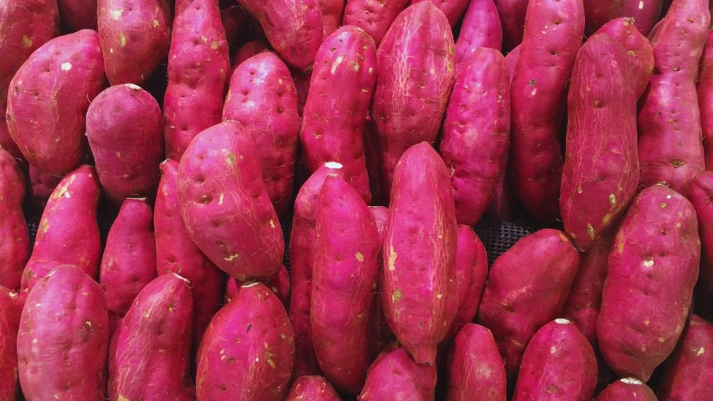 बहुत ज्यादा एक जैसी, चिकनी और चमकदार शकरकंद से दूरी बनाएं. थोड़ी खुरदरी, मिट्टी लगी और हल्के रंग वाली शकरकंद ज्यादा सुरक्षित मानी जाती है.