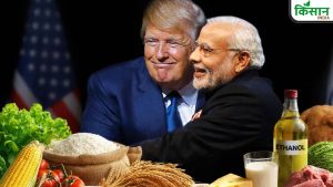 Explainer: कोर्ट के फैसले के बाद भारत-अमेरिका टैरिफ में क्या बदला, आसान भाषा में समझिए पूरा मामला Explainer: कोर्ट के फैसले के बाद भारत-अमेरिका टैरिफ में क्या बदला, आसान भाषा में समझिए पूरा मामला