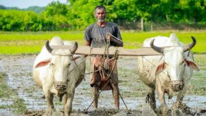 Indian School of Agriculture: आंध्र प्रदेश में किसानों की बढ़ेगी कमाई, CM चंद्रबाबू नायडू ने किया बड़ा ऐलान