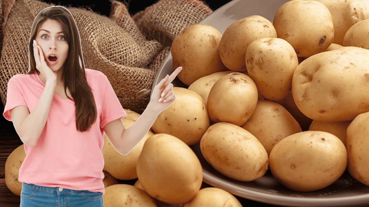 When France Banned Potatoes The Shocking History Behind The Potato Protest And Fear Of This Staple Food