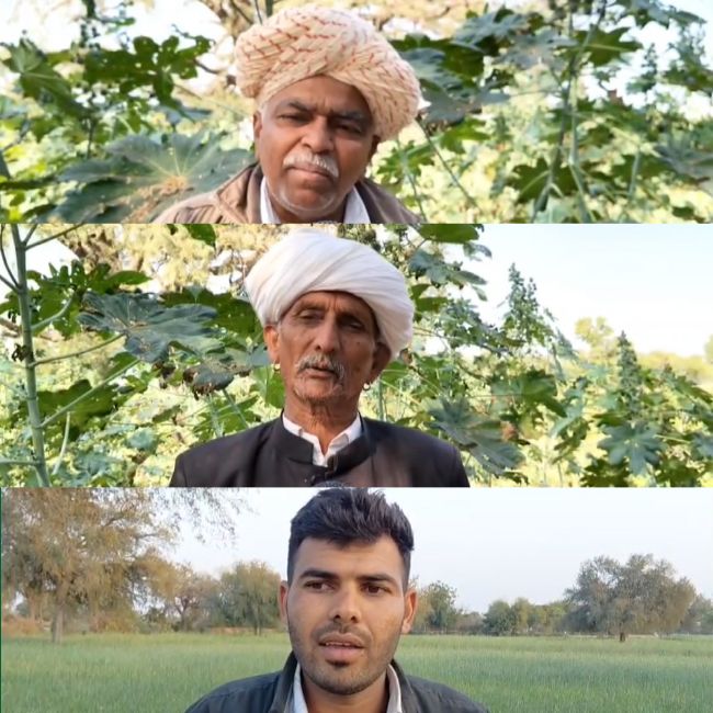 sanchore rajasthan Farmer Dhanraj 