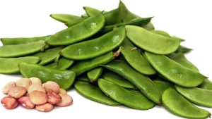 सेम की खेती से बढ़ेगी आमदनी, सही तकनीक अपनाकर किसान कमा सकते हैं अच्छा मुनाफा सेम की खेती से बढ़ेगी आमदनी, सही तकनीक अपनाकर किसान कमा सकते हैं अच्छा मुनाफा