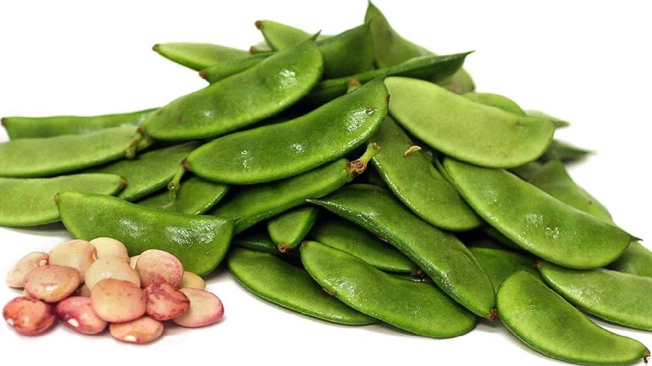 Bean Cultivation India Profitable Farming Guide Soil Climate Sowing Fertilizer Irrigation Disease Management Tips