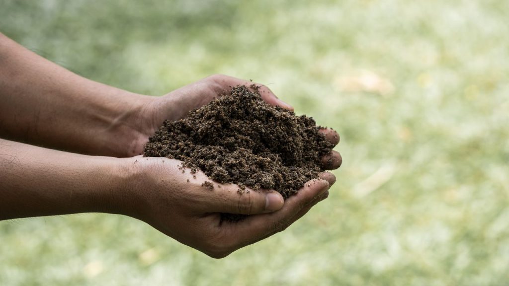 मिट्टी का रिकॉर्ड सुरक्षित रहने से किसान पुराने डेटा की तुलना कर सकते हैं. इससे वे यह समझ पाते हैं कि मिट्टी की सेहत में सुधार हुआ है या नहीं, और आगे की खेती के लिए बेहतर रणनीति बना सकते हैं.