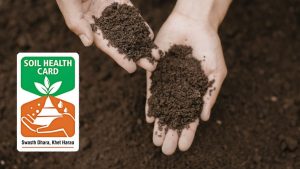 Soil Health Card: एक कार्ड, 3 साल की फ्री जांच! इस सरकारी सुविधा से किसान बढ़ा सकते हैं पैदावार, जानें