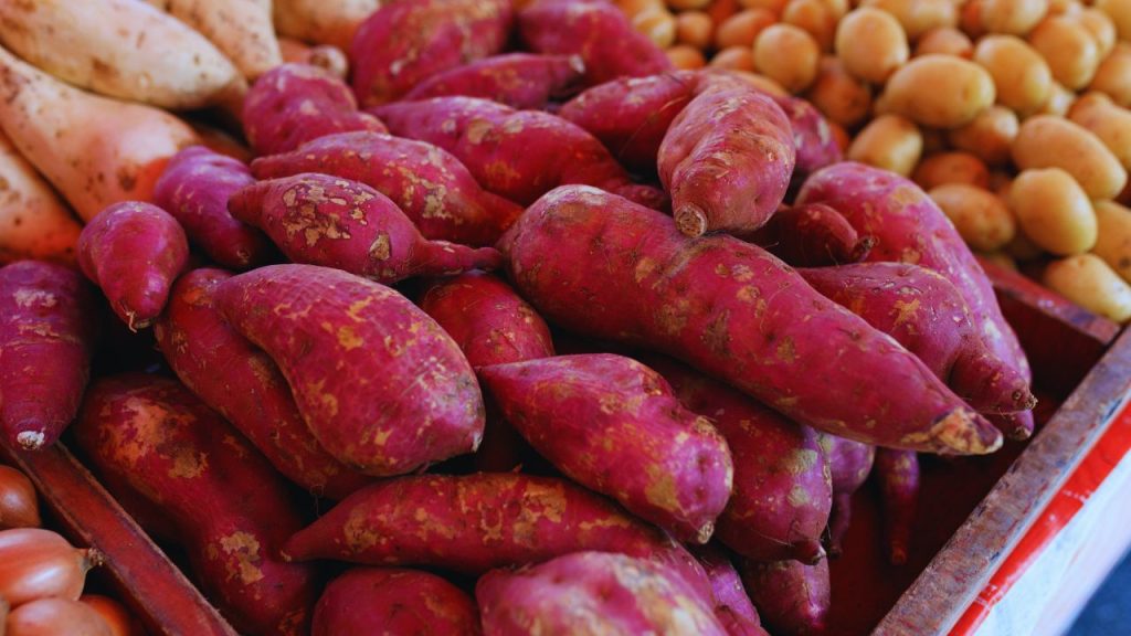 शकरकंद को साफ पानी में डालें. अगर कुछ मिनटों में पानी लाल या नारंगी होने लगे, तो समझ लें कि उस पर बाहरी रंग चढ़ाया गया है. ऐसी शकरकंद खाने से बचना चाहिए.