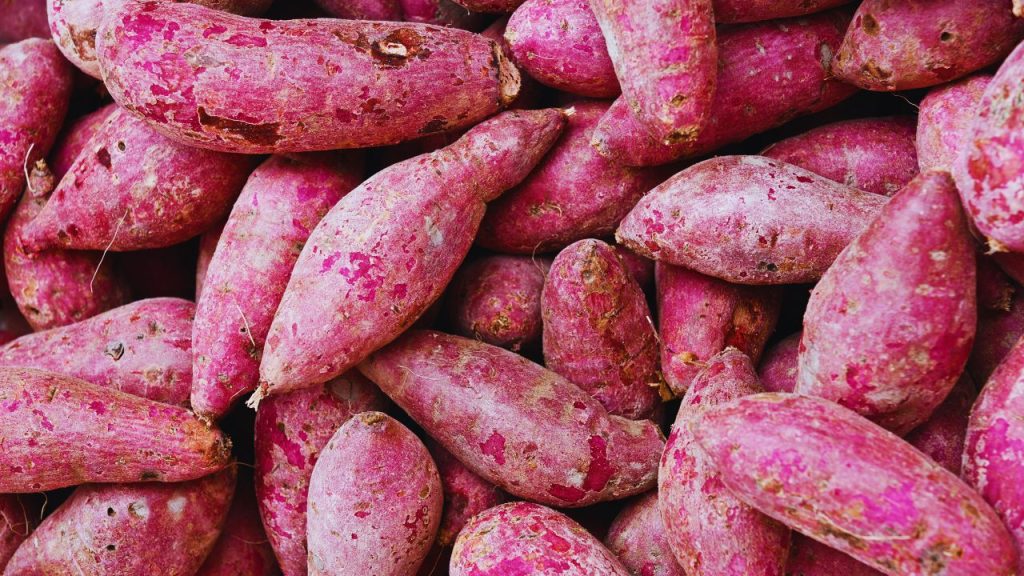 रंग लगी शकरकंद में इस्तेमाल किए गए सिंथेटिक केमिकल पेट दर्द, गैस, उल्टी और एलर्जी जैसी समस्याएं पैदा कर सकते हैं. खासतौर पर बच्चों और बुजुर्गों की सेहत पर इसका असर जल्दी पड़ता है.