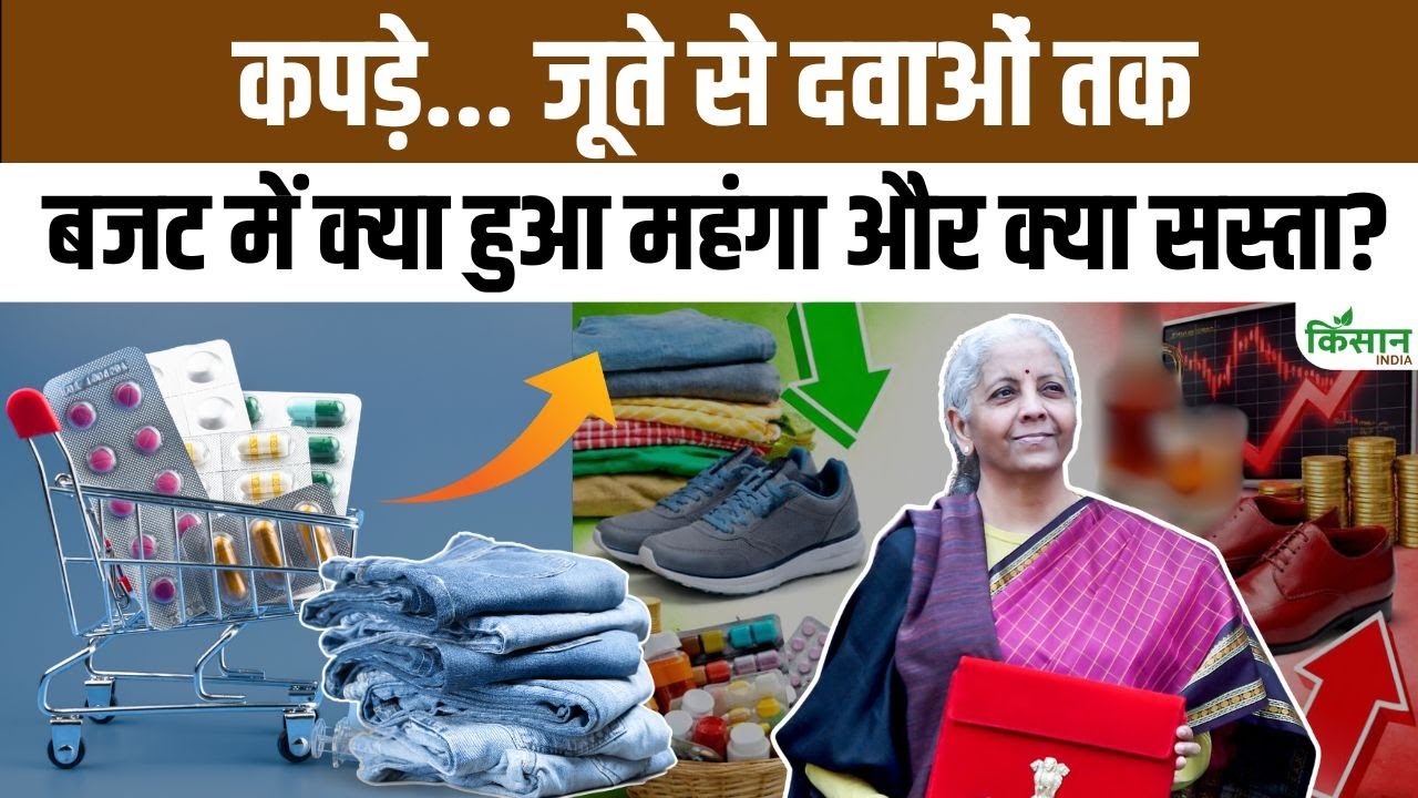 Union Budget 2026 Provides Relief General Public With Many Everyday Items Becoming Cheaper But Prices Some Essential Goods Rising