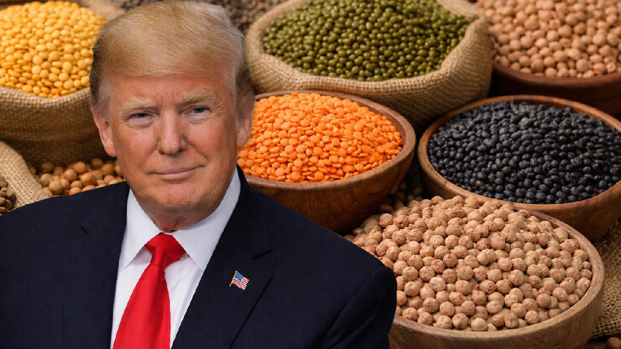 India Us Trade Deal Pulses Still On Negotiation Table Despite Removal From White House Factsheet Interim Agreement Update 2026