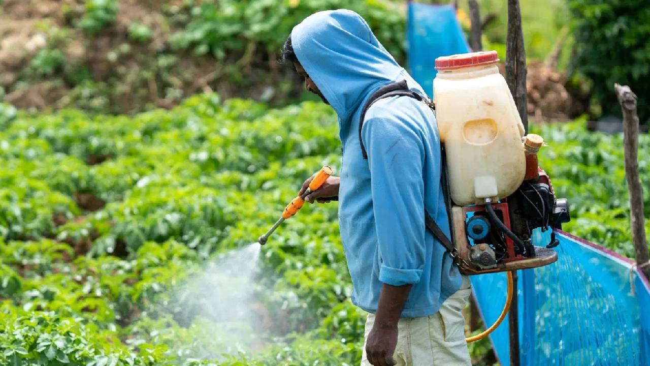 नैनो यूरिया से 50 प्रतिशत तक घटेगी रासायनिक खाद की जरूरत, पैदावार पर नहीं पड़ेगा असर: केंद्र