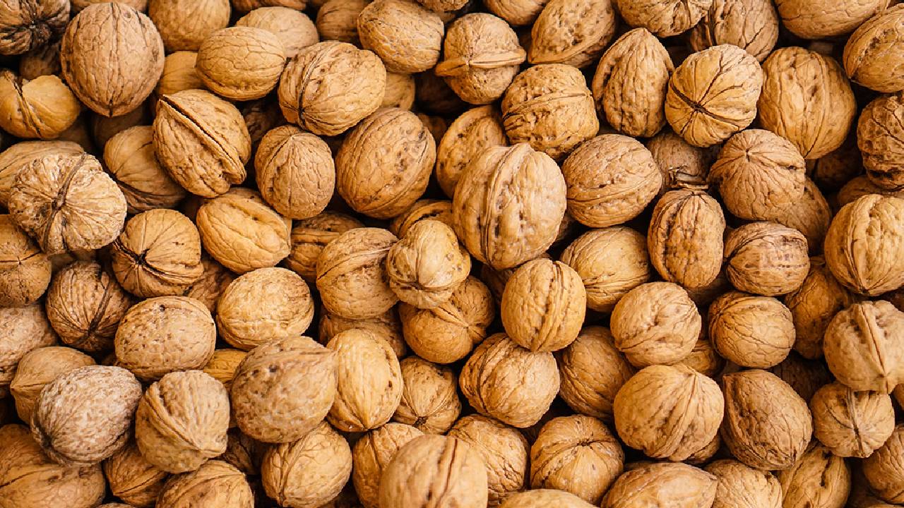 Indian Customs Seize Chinese Walnut Containers Misdeclared As Afghan Imports To Evade 100 Percent Duty Under Safta