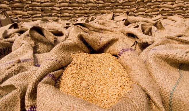 गेहूं खरीद के सरकारी दावों की खुल गई पोल, मंडियों में 28 लाख मीट्रिक टन गेहूं ‘लावारिस’ पड़ा