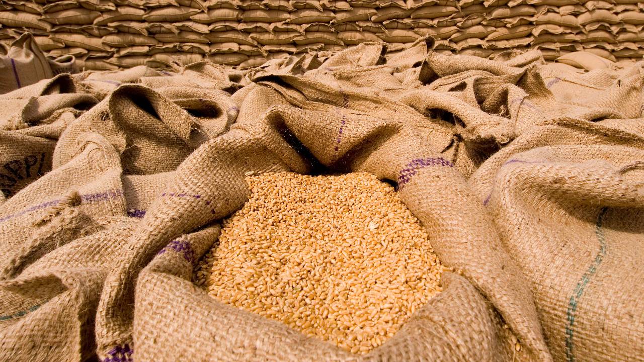 India Approves Export Of 25 Lakh Metric Tonnes Of Wheat Despite Export Ban To Stabilise Domestic Market Prices