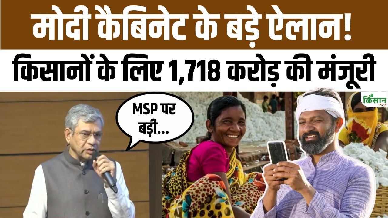 Major Cabinet Decision Relief Cotton Farmers 1718 Crore Approved For Msp Government Focus On Increasing Farmers Income