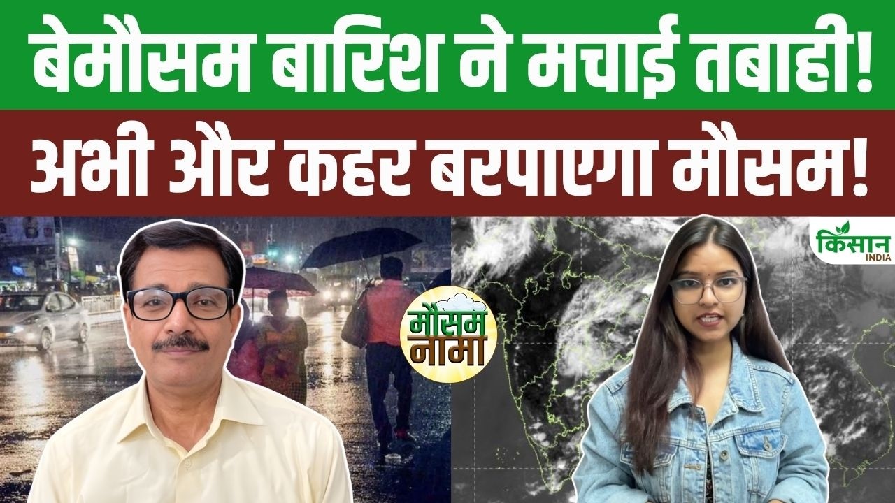 Weather Changes In March Storms And Rain Wreak Havoc In North India Imd Issues Alert For Return Of Cold