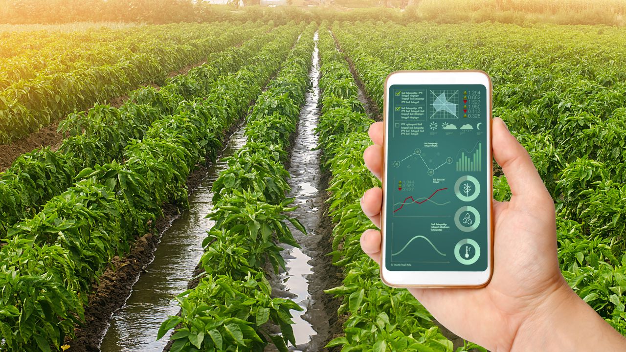 Uttar Pradesh Over 156 New Startups Approved In Agricultural Sector They Helps Reduce Agricultural Costs And Increase Yields