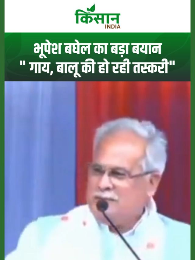 असम में गाय, सुपारी, बालू और कोयले की तस्करी का आरोप- भूपेश बघेल का बड़ा बयान