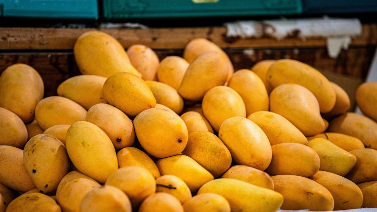 Iran Israel War Affects Mango Exports Prices May Fall Andhra Pradesh Mango Farmer