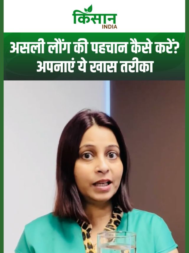 Asli Nakli: सावधान! बाजार में बिक रही है नकली लौंग। लौंग खरीदने से पहले जरूर करें ये आसान टेस्ट