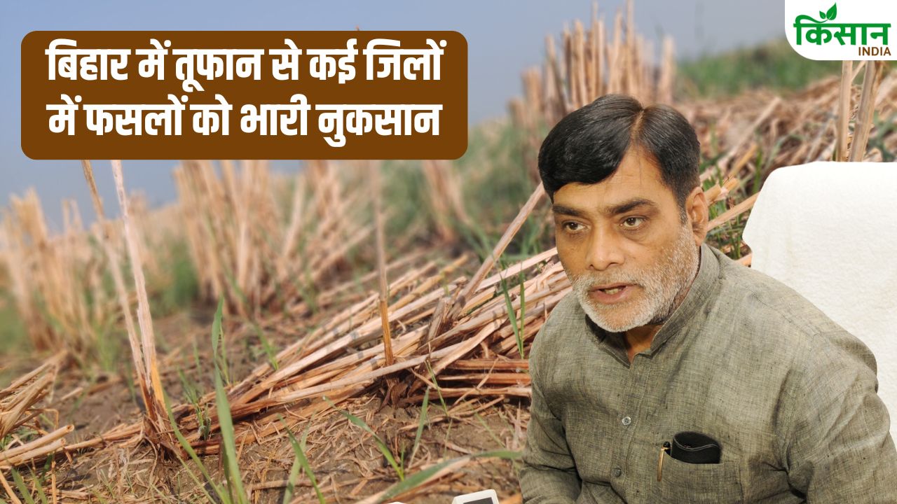 Agriculture Miniter Ram Kripal Yadav On Bihar Crop Damage Due To Hailstorm Strong Winds Farmers Loss Relief Compensation