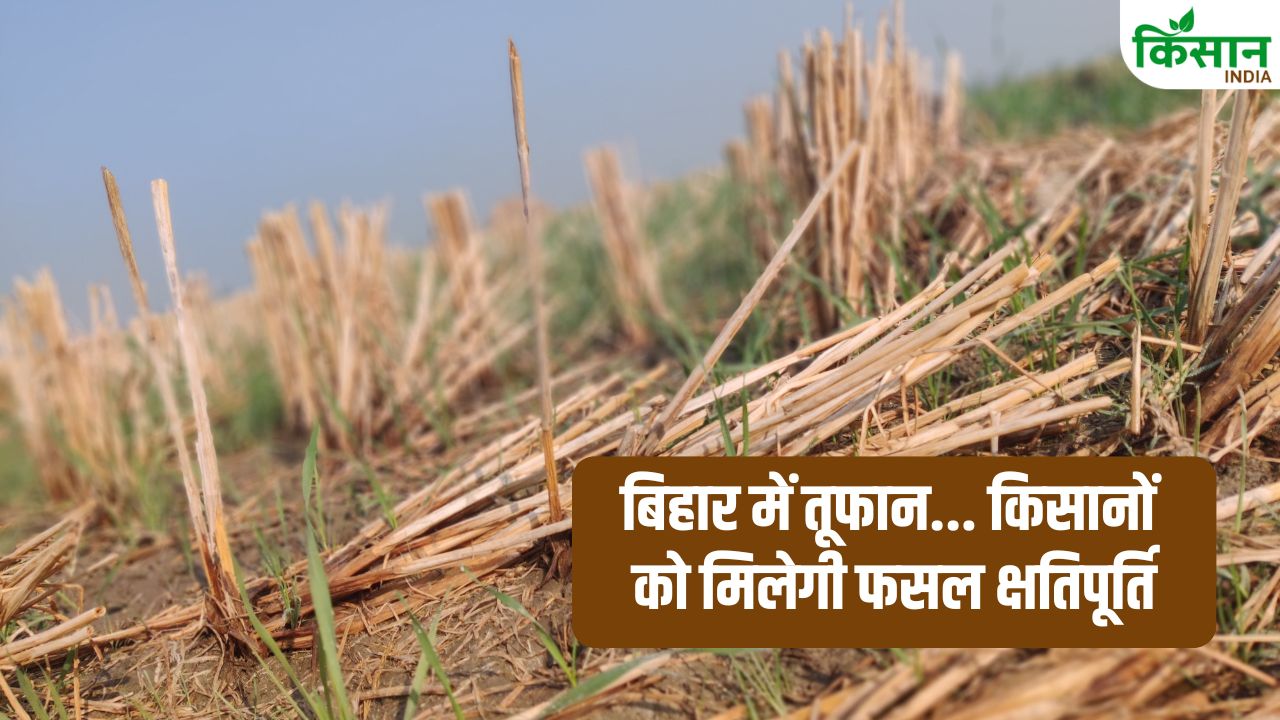 Bihar Kharif Crop Damage Relief For Farmers Storm Hail Weather Compensation Annuncement By Agriculture Minister Ram Kripal Yadav