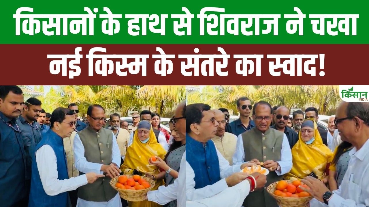 Shivraj Singh Chouhan Visited Jain Irrigation Farm Tasted New Variety Oranges And Provided Information On Modern Farming Farmers