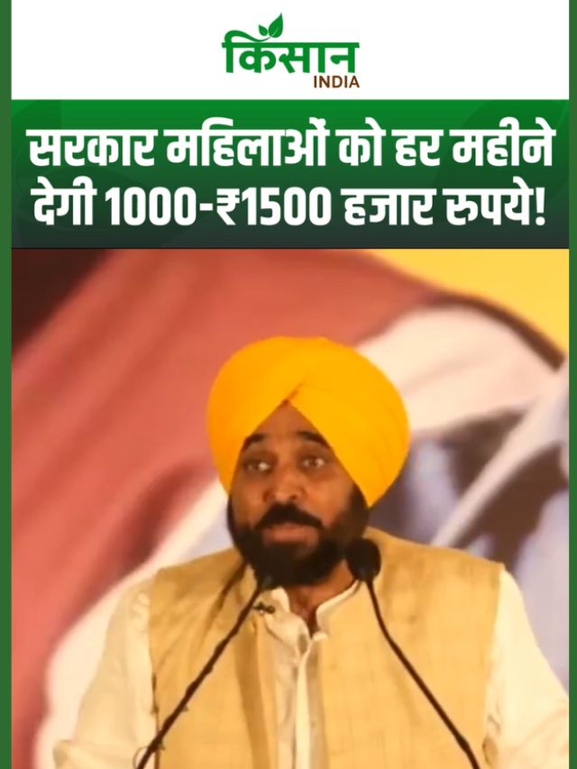 सीएम भगवंत मान का ऐलान, पंजाब में महिलाओं को ₹1000–₹1500 मासिक सहायता योजना दी जाएगी
