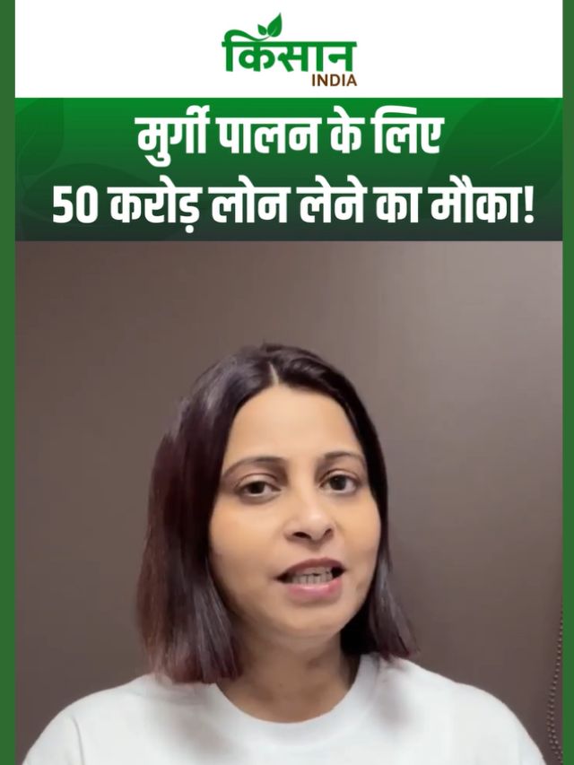 Poultry Scheme: 50 करोड़ रुपये तक मिलेगा लोन! मुर्गी पालन शुरू करने का गोल्डन मौका