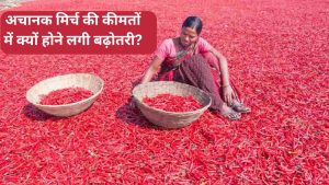 ईरान-इजरायल जंग के बीच अचानक बढ़ी मिर्च की मांग, 56000 रुपये क्विंटल रेट.. किसानों की बंपर कमाई