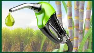 कच्चे तेल में उतार-चढ़ाव से मजबूत बायोफ्यूल इकोसिस्टम की जरूरत बढ़ी, ISMA ने बताया सटीक विकल्प 
