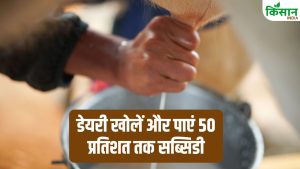 UP के किसानों के लिए बड़ी खुशखबरी! डेयरी खोलें और पाएं 50 प्रतिशत तक सब्सिडी, जानें कैसे उठाएं फायदा