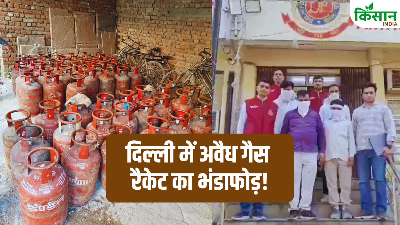 Delhi Illegal Lpg Gas Racket Busted 183 Cylinders Recovered Delivery Agents Arrested