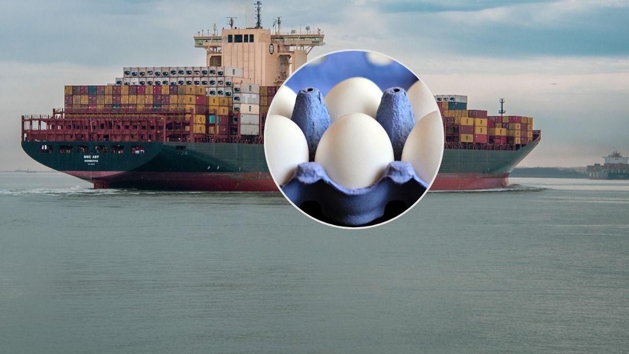 10 दिनों से समुद्र में फंसी है 3.5 करोड़ अंडों की बड़ी खेप, 28 फरवरी को भारत से हुई थी सप्लाई.. ये है वजह