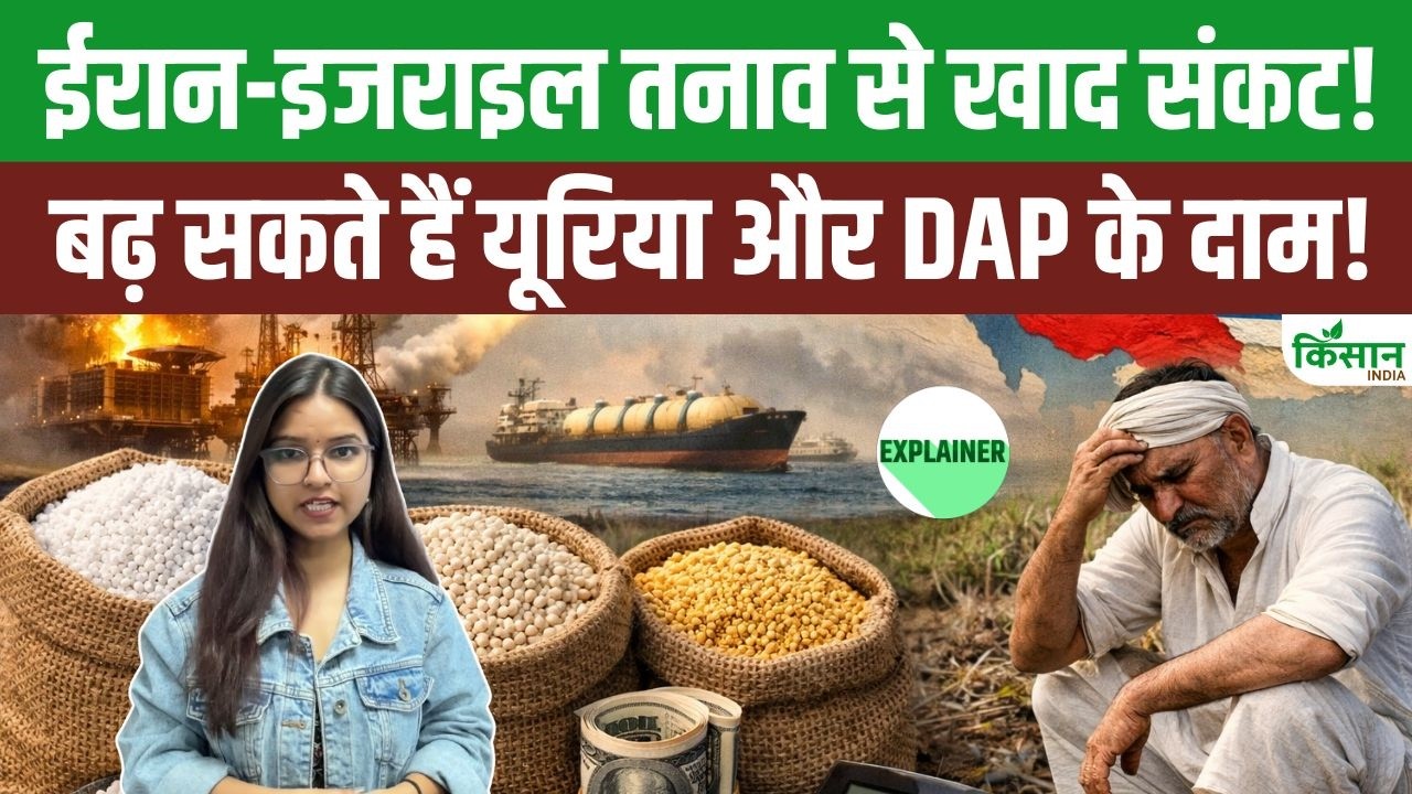 Iran-Israel-America युद्ध का असर खेती पर! क्या महंगे होंगे यूरिया और DAP, किसानों की बढ़ी चिंता