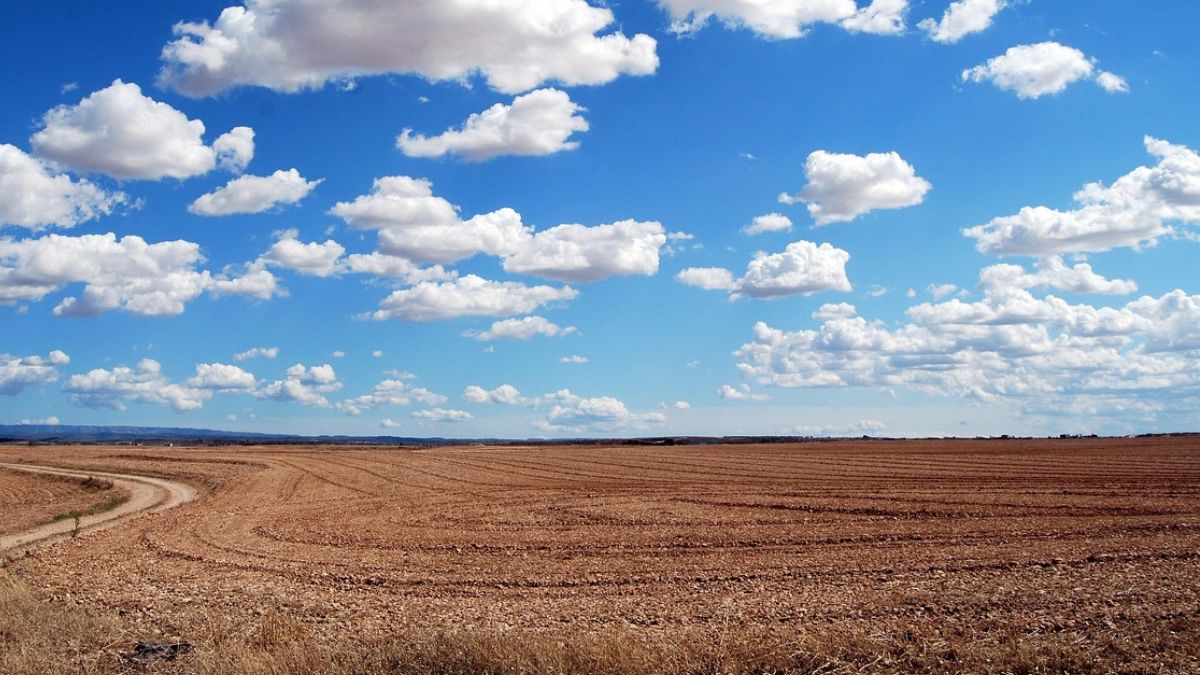 Wmo Releases Forecast El Nino Effect Continue End Of The Year Farmers Beware