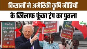 India US Trade Deal के खिलाफ गरजे किसानों ने डोनाल्ड ट्रंप का पुतला दहन करके दी बड़ी चेतावनी India US Trade Deal के खिलाफ गरजे किसानों ने डोनाल्ड ट्रंप का पुतला दहन करके दी बड़ी चेतावनी