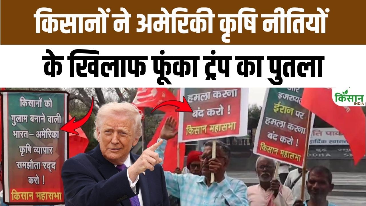 India US Trade Deal के खिलाफ गरजे किसानों ने डोनाल्ड ट्रंप का पुतला दहन करके दी बड़ी चेतावनी