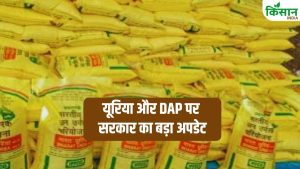 किसानों के लिए राहत! यूरिया-DAP के स्टॉक और कीमतों पर सरकार का अपडेट, खरीफ सीजन में कमी की चिंता खत्म!