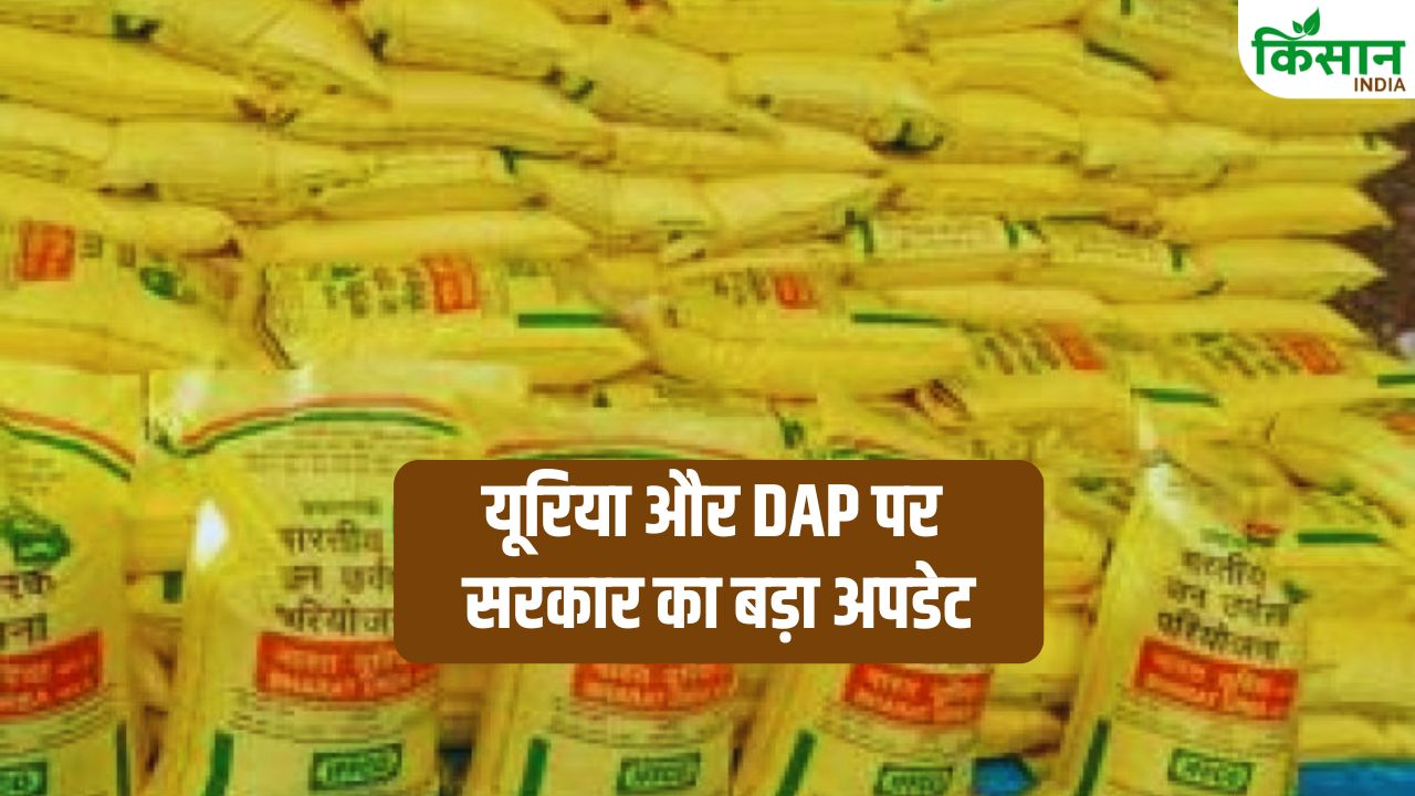 Fertilizer Stock Update India 2026 Urea Dap Stock Prices Kharif Season Farmers Relief