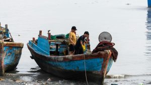 भारत-इजरायल समझौते से मछली किसानों की बढ़ेगी कमाई, नई तकनीक सीधे गांवों तक पहुंचेगी और उत्पादन बढ़ेगा