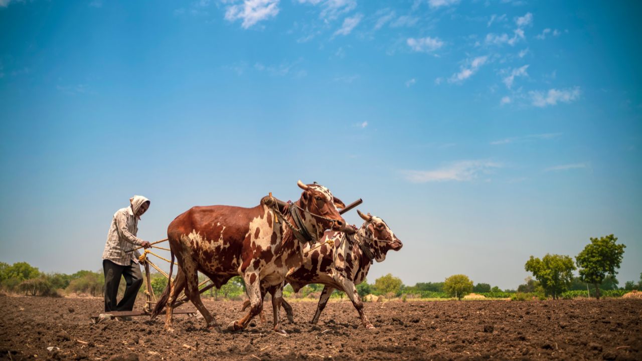 बाढ़ पीड़ित किसानों-ग्रामीणों के लिए 1922 करोड़ मंजूर, मोंथा तूफान प्रभावितों के लिए राहत पैकेज मिला  