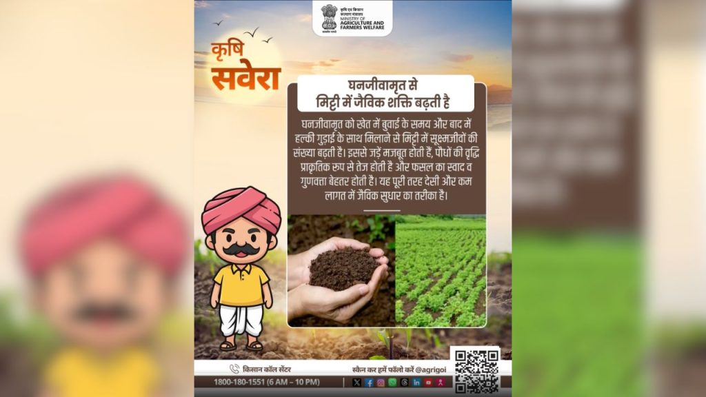 कृषि विभाग के अनुसार, घनजीवामृत का इस्तेमाल पौधों की जड़ों को मजबूती प्रदान करता है. मजबूत जड़ें पौधों को पोषण बेहतर ढंग से ग्रहण करने में मदद करती हैं, जिससे पौधों की वृद्धि और रोग प्रतिरोधक क्षमता बढ़ती है.