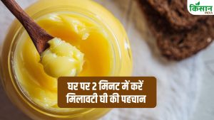 सावधान! कहीं आप भी तो नहीं खा रहे मिलावटी घी? 2 मिनट का ये टेस्ट खोल देगा सच्चाई, जानें