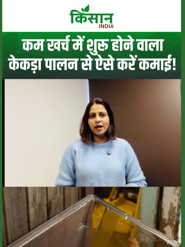 केकड़ा पालन कैसे शुरू करें, कम निवेश में ज्यादा मुनाफा देने वाला पूरा बिजनेस प्लान