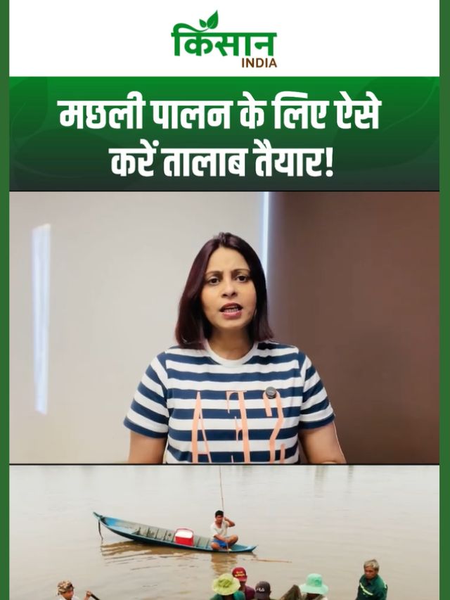 Fish Farming: मार्च में मछली पालन कैसे शुरू करें, तालाब तैयारी से बीज डालने तक पूरी जानकारी