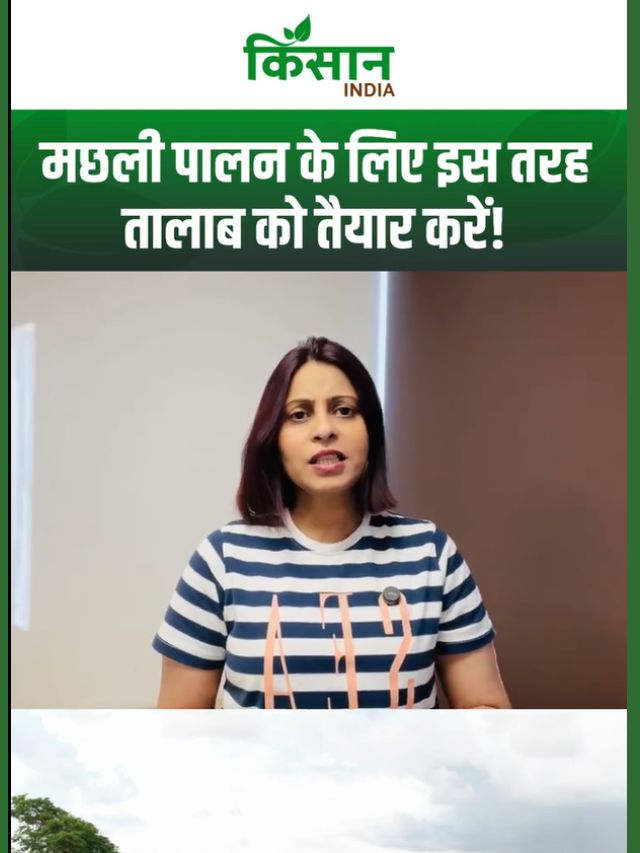 मार्च में मछली पालन कैसे शुरू करें, तालाब तैयारी से बीज डालने तक पूरी जानकारी