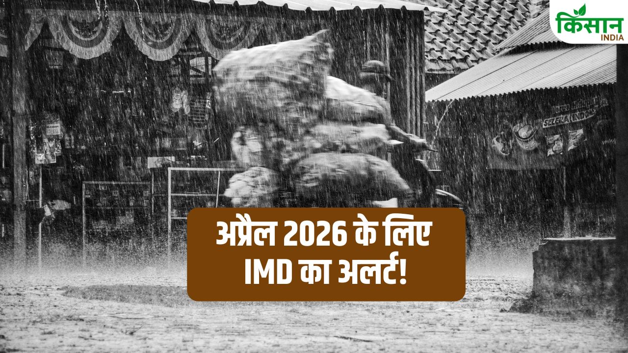 Imd Weather Alert April 2026 Weather Forecast Above Normal Rainfall Heavy Rain Alert